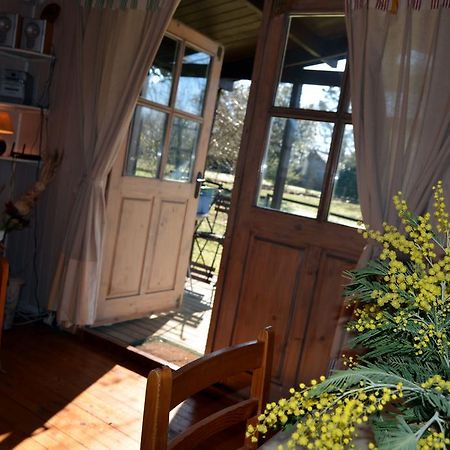 Gite Foret Landaise Sainte-Eulalie-en-Born Zewnętrze zdjęcie