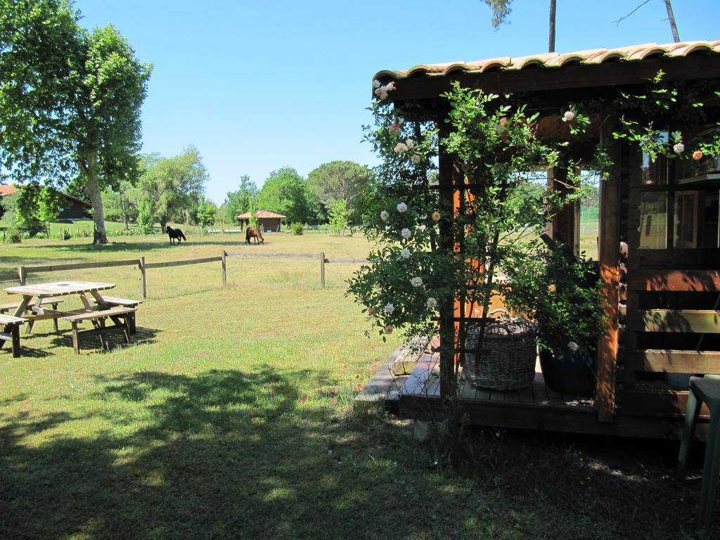 Gite Foret Landaise Sainte-Eulalie-en-Born Zewnętrze zdjęcie
