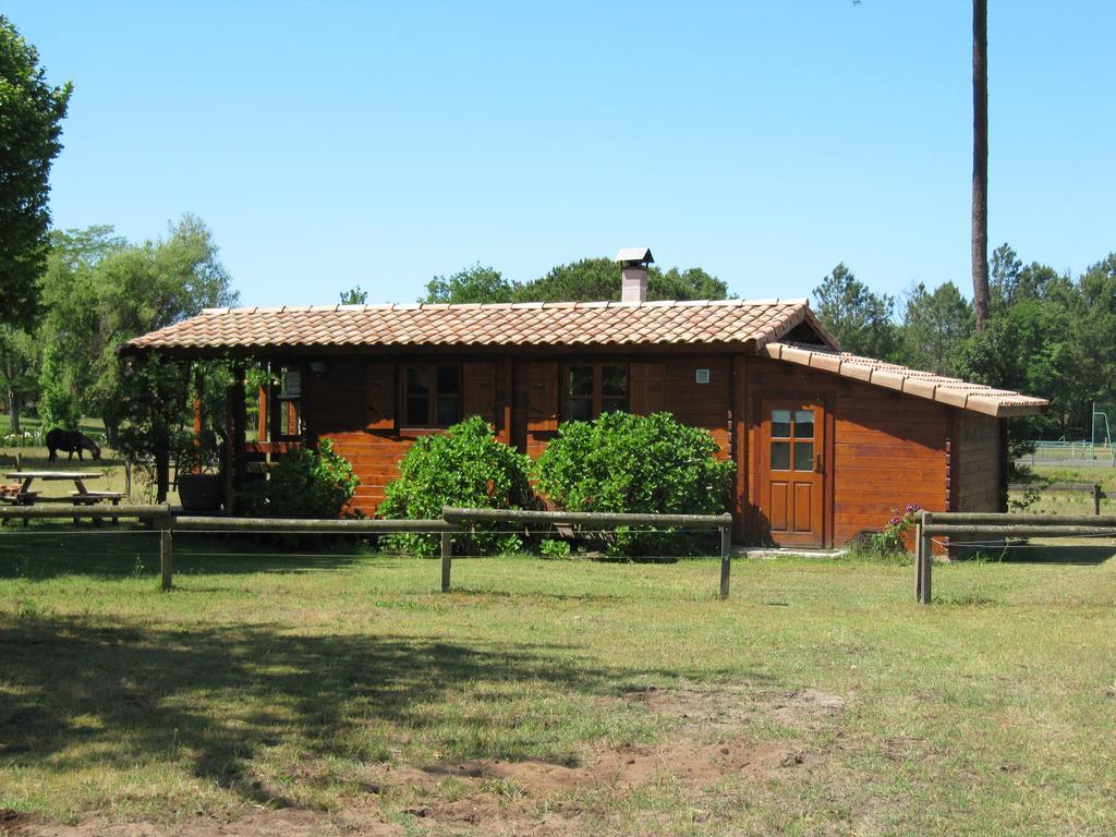 Gite Foret Landaise Sainte-Eulalie-en-Born Zewnętrze zdjęcie