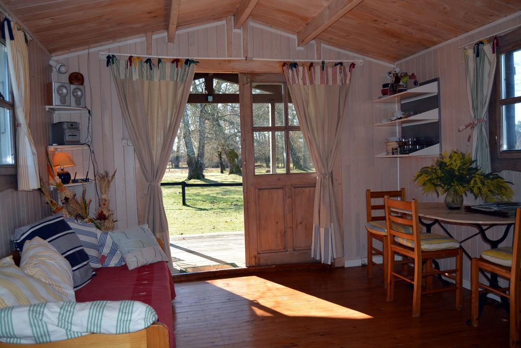 Gite Foret Landaise Sainte-Eulalie-en-Born Zewnętrze zdjęcie